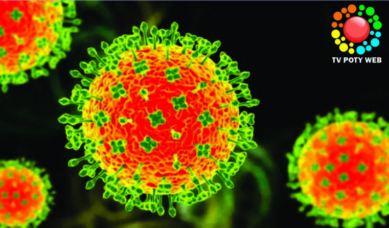 Nova pandemia? Índia entra em alerta após confirmar cinco casos do vírus letal Nipah.