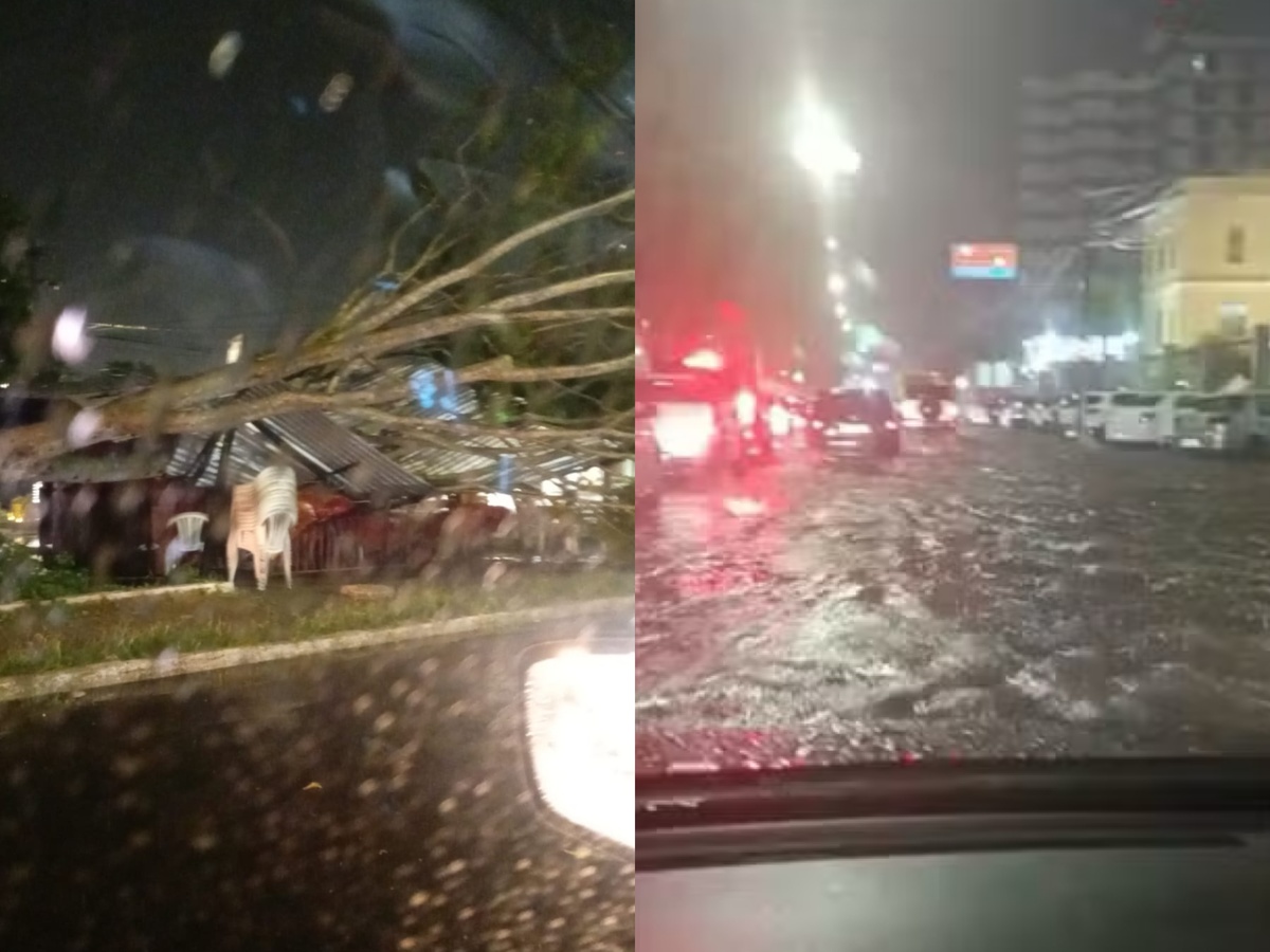 Chuva forte causa queda de árvores e alagamentos em Teresina
