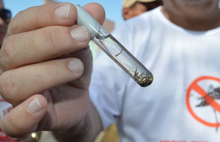 Teresina confirma caso de dengue tipo 3 e reforça medidas de prevenção