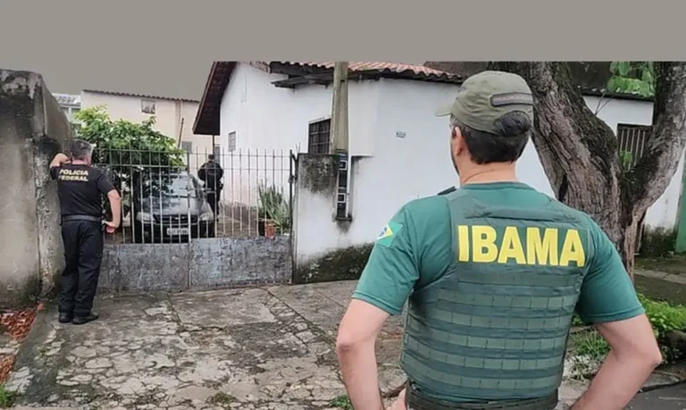 Posse irregular de animais silvestres continua sendo desafio ambiental no Brasil
